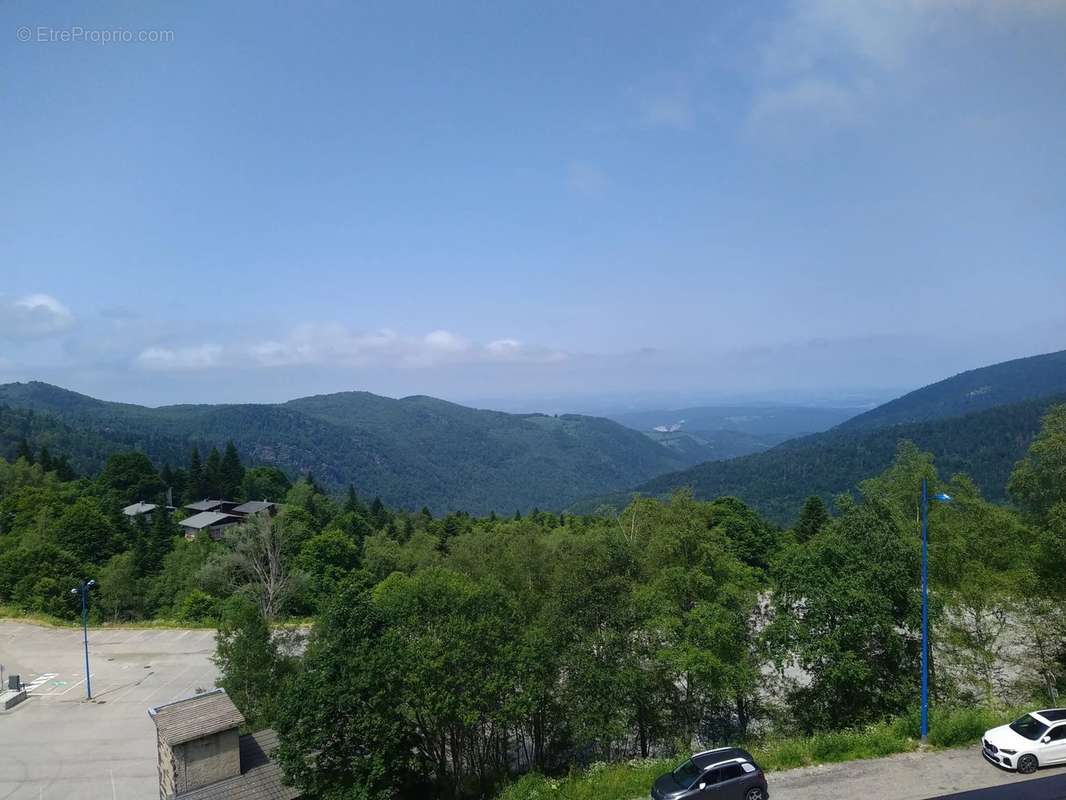 Appartement à MONTFERRIER