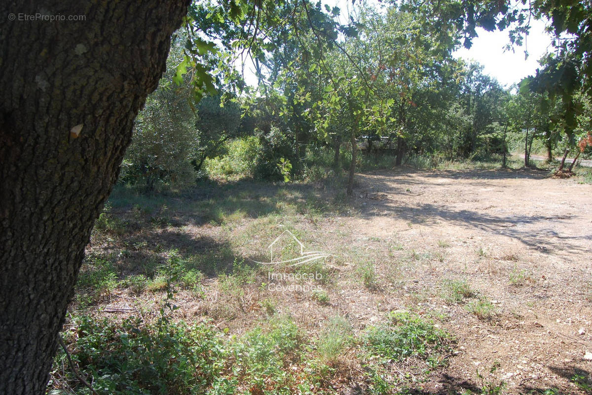 Terrain à MARTIGNARGUES