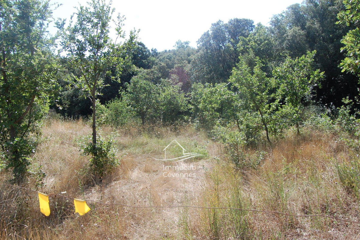 Terrain à MARTIGNARGUES