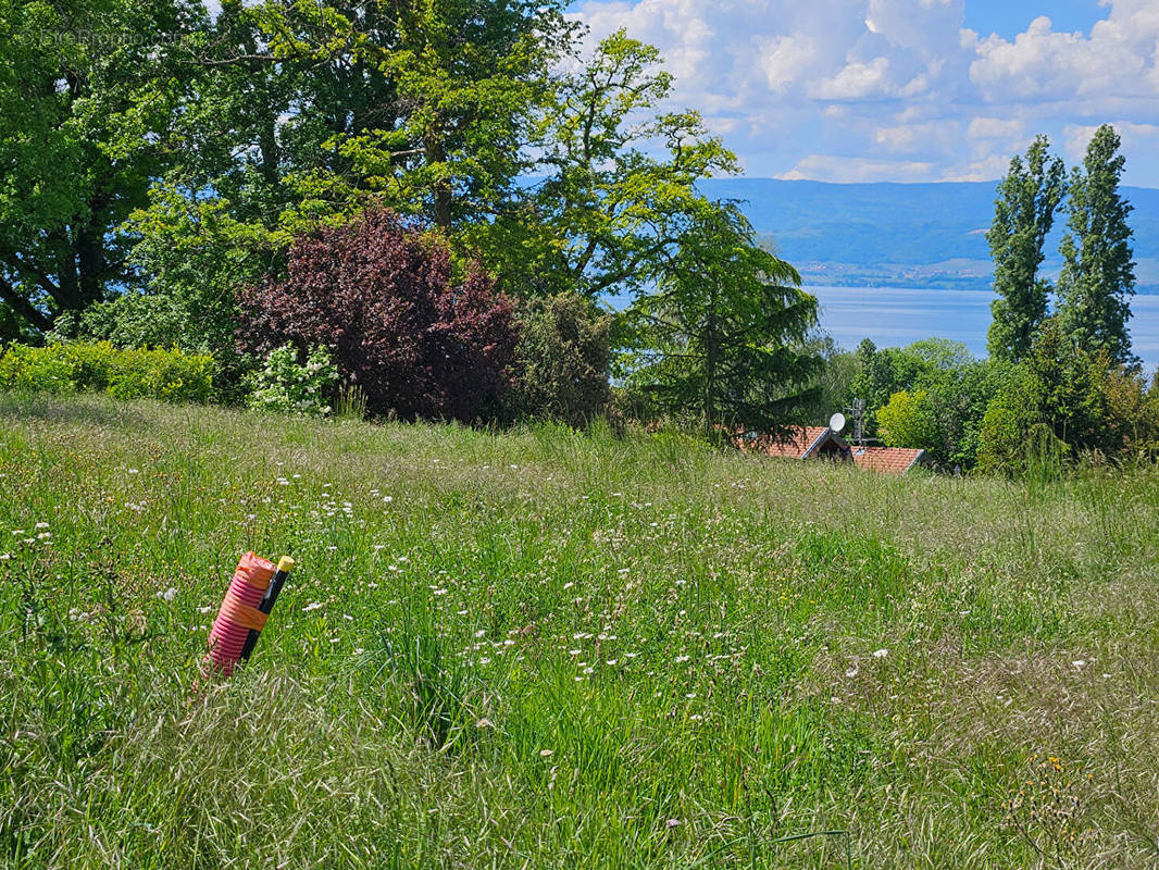 Terrain à ANTHY-SUR-LEMAN