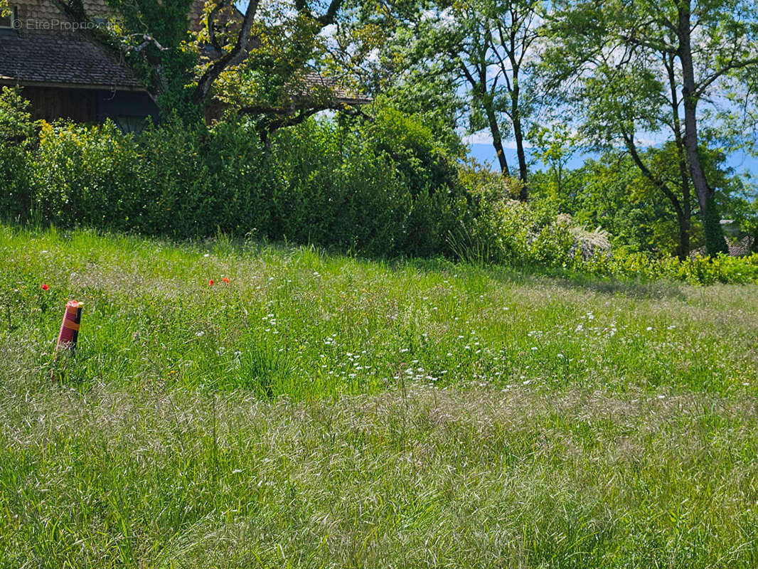 Terrain à ANTHY-SUR-LEMAN