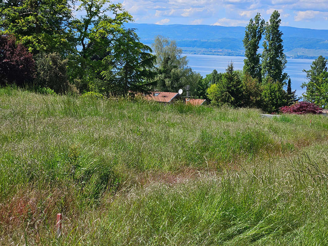 Terrain à ANTHY-SUR-LEMAN