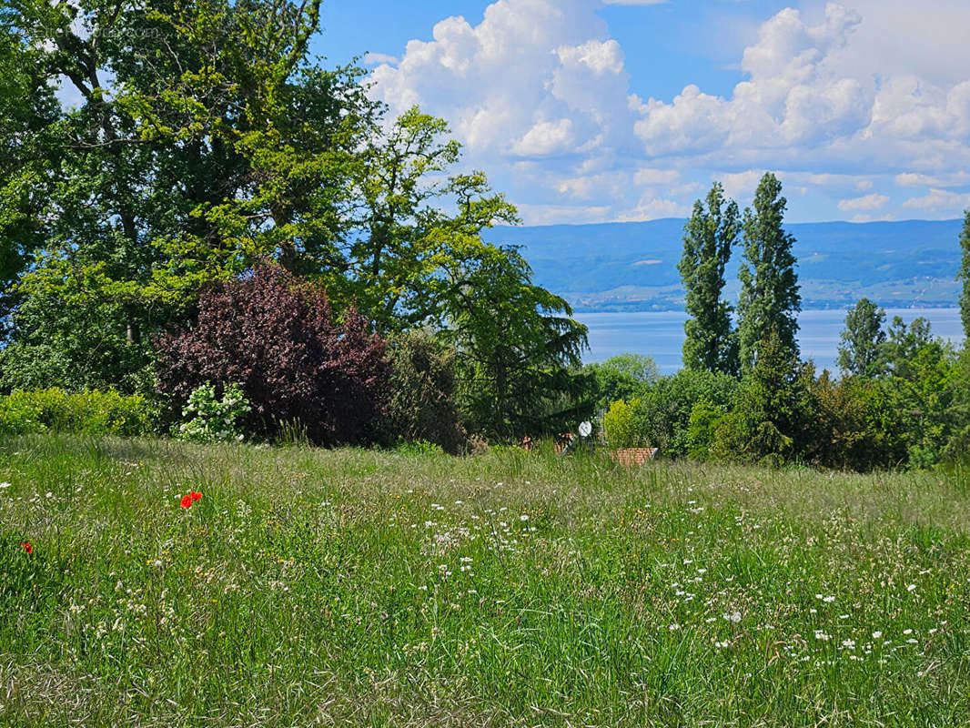 Terrain à ANTHY-SUR-LEMAN