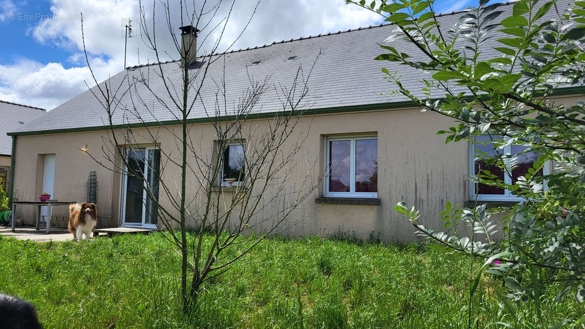 Maison à LA ROCHE-BLANCHE