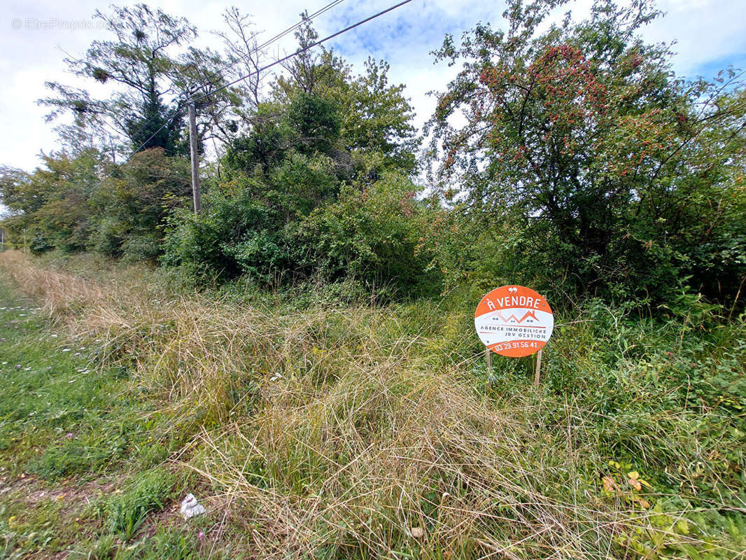 Terrain à VAUCOULEURS