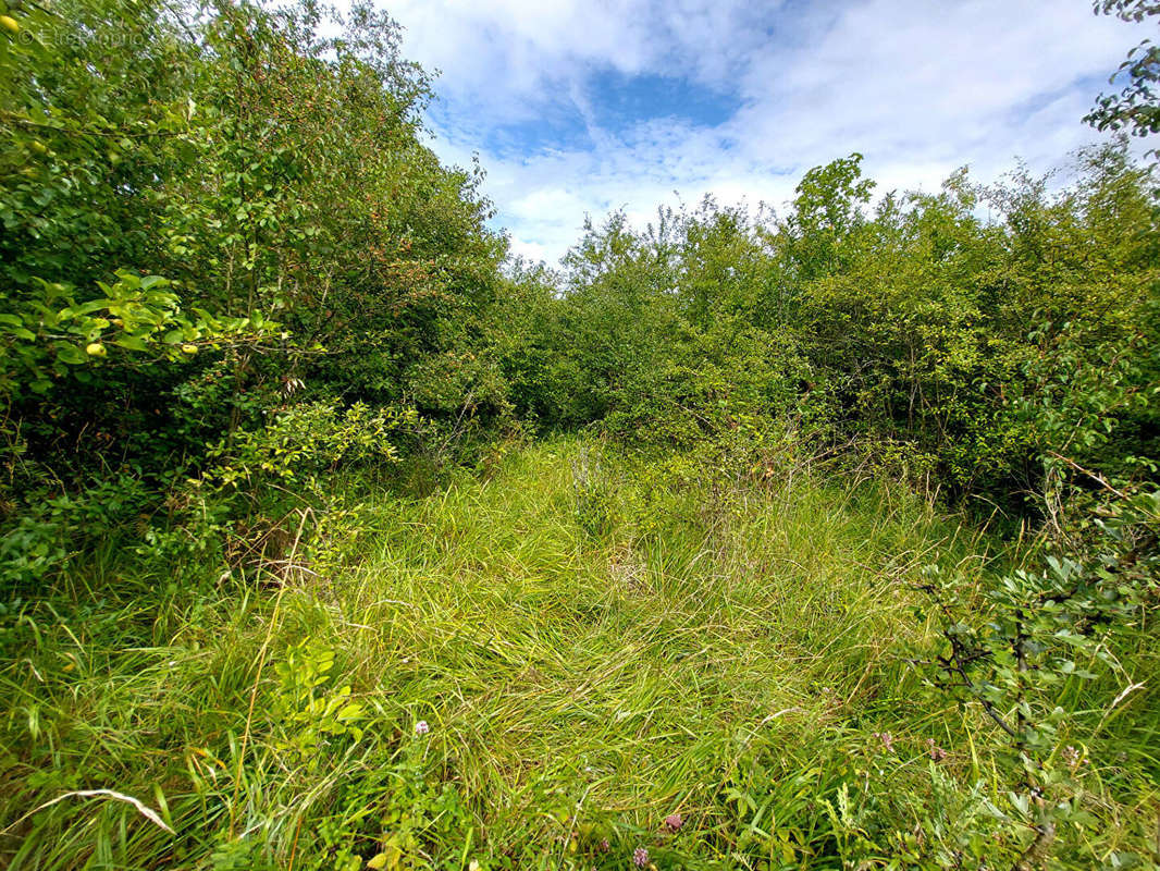 Terrain à VAUCOULEURS