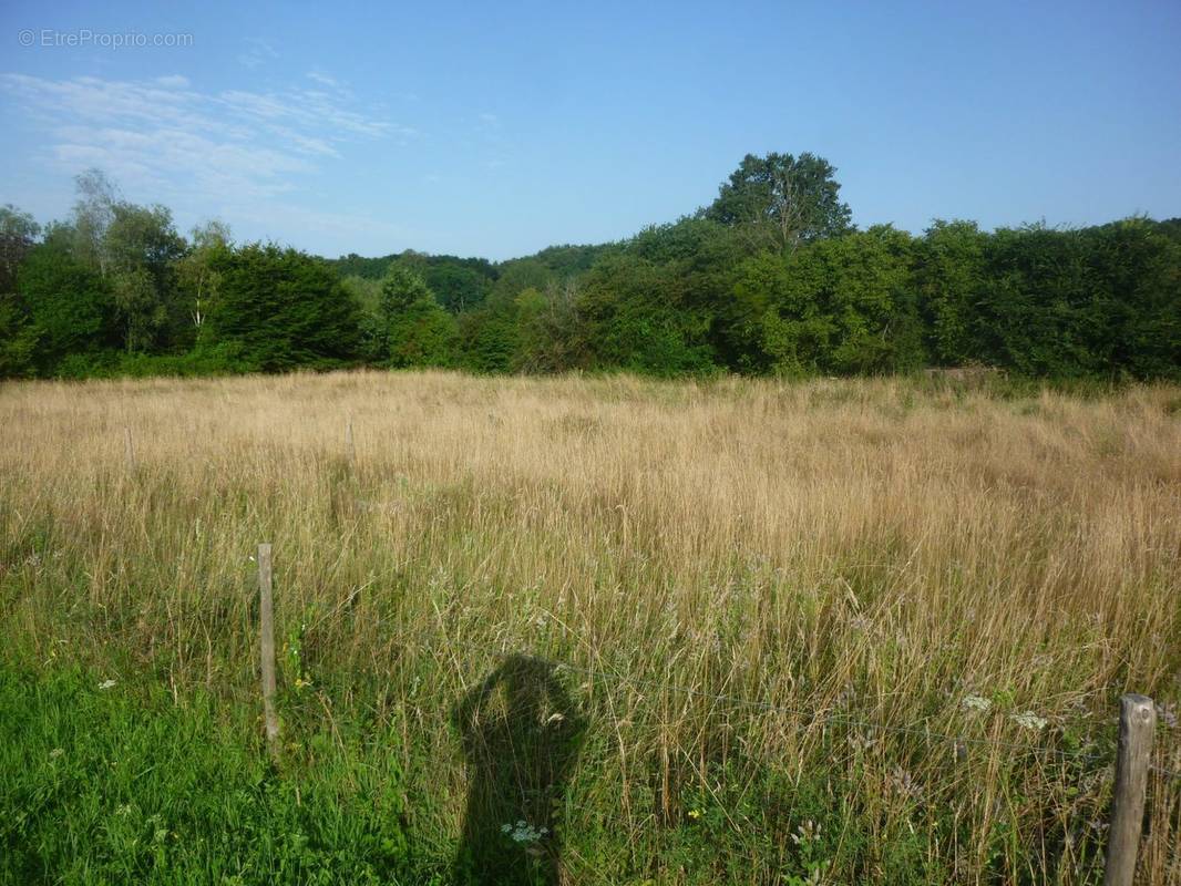 Terrain à LOUE