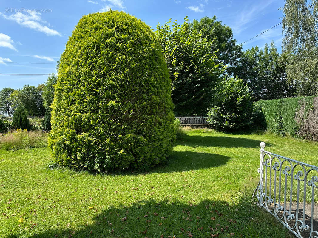 Maison à ANGLARDS-DE-SALERS