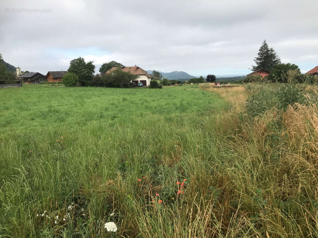 Terrain à LYAUD