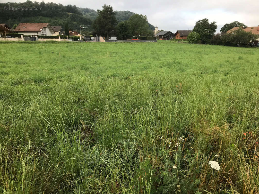 Terrain à LYAUD