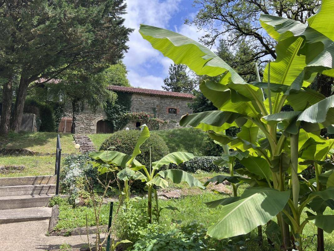 Maison à GORSES