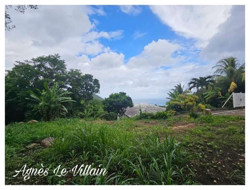 Terrain à DESHAIES