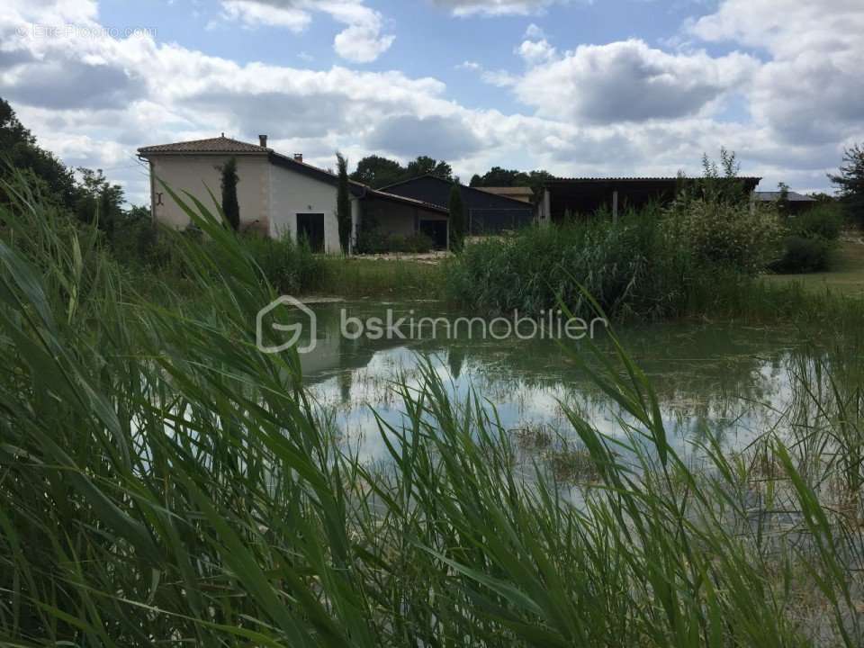 Maison à GUITRES