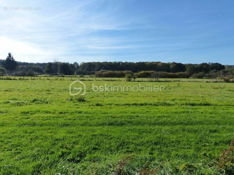 Terrain à MONETEAU