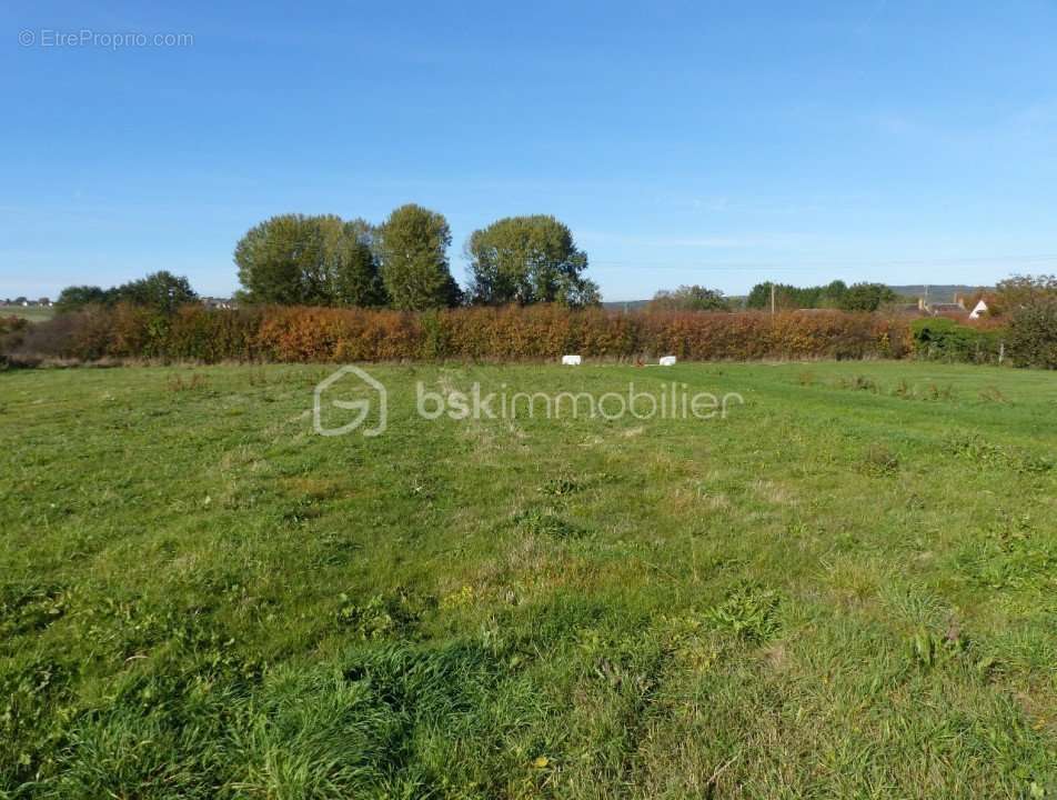 Terrain à MONETEAU