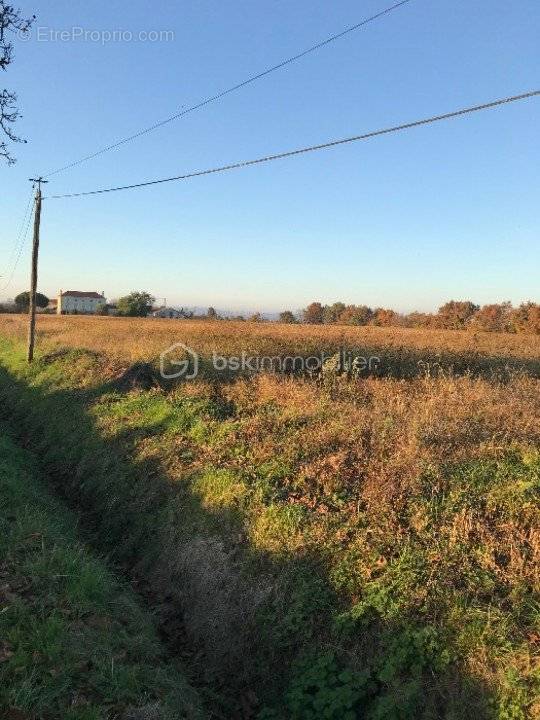 Terrain à MEILHAN-SUR-GARONNE