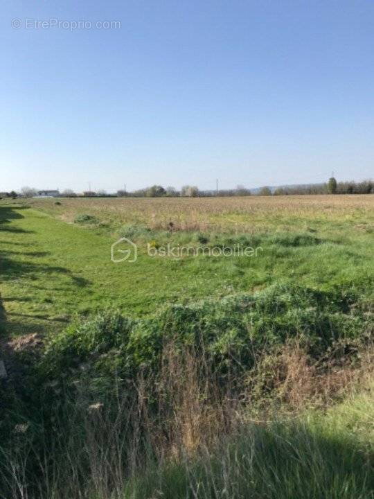 Terrain à MEILHAN-SUR-GARONNE