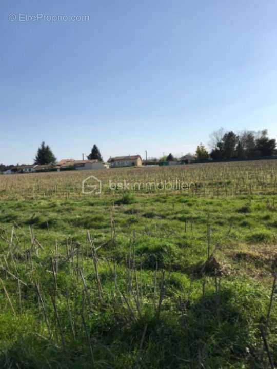 Terrain à MEILHAN-SUR-GARONNE