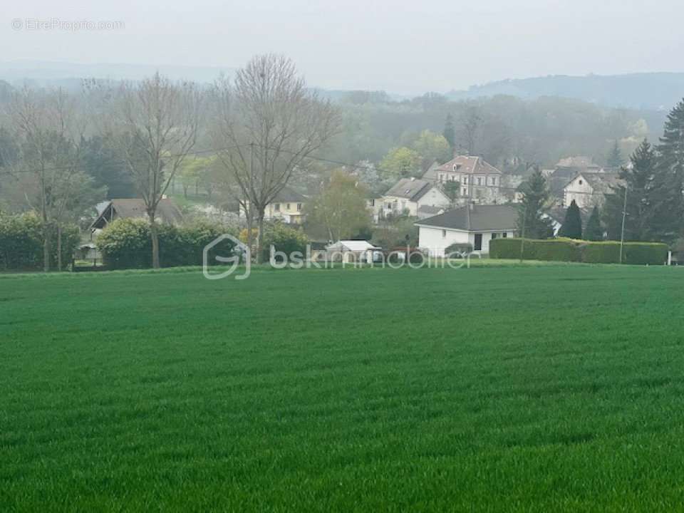 Terrain à SAINT-AUBIN-SUR-YONNE