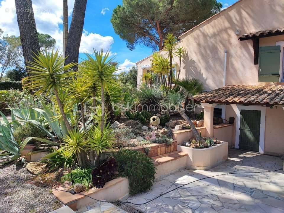 Maison à ROQUEBRUNE-SUR-ARGENS