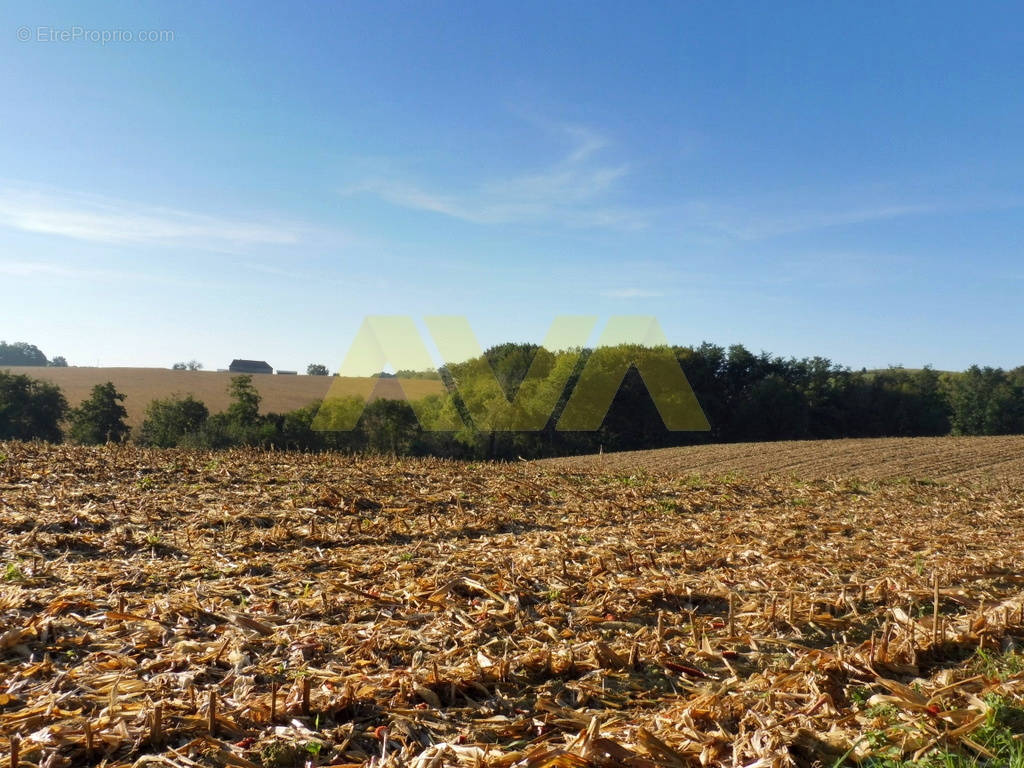 Terrain à NAVARRENX