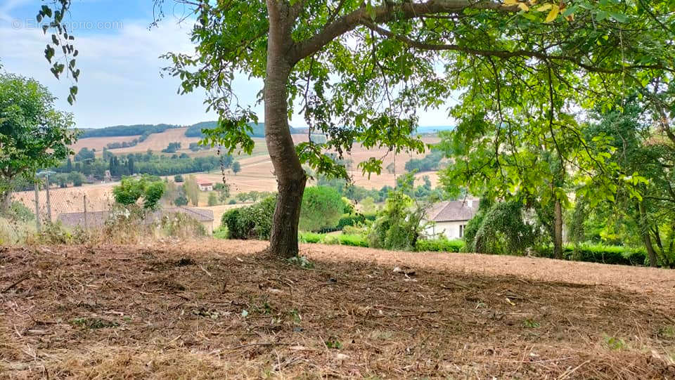 Terrain à PUYCASQUIER