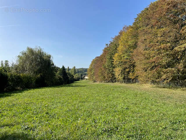 Terrain à MISEREY-SALINES