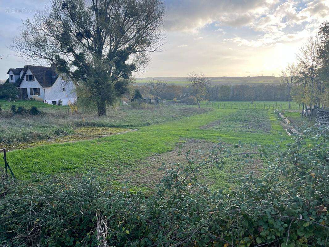 Terrain à FLOGNY-LA-CHAPELLE