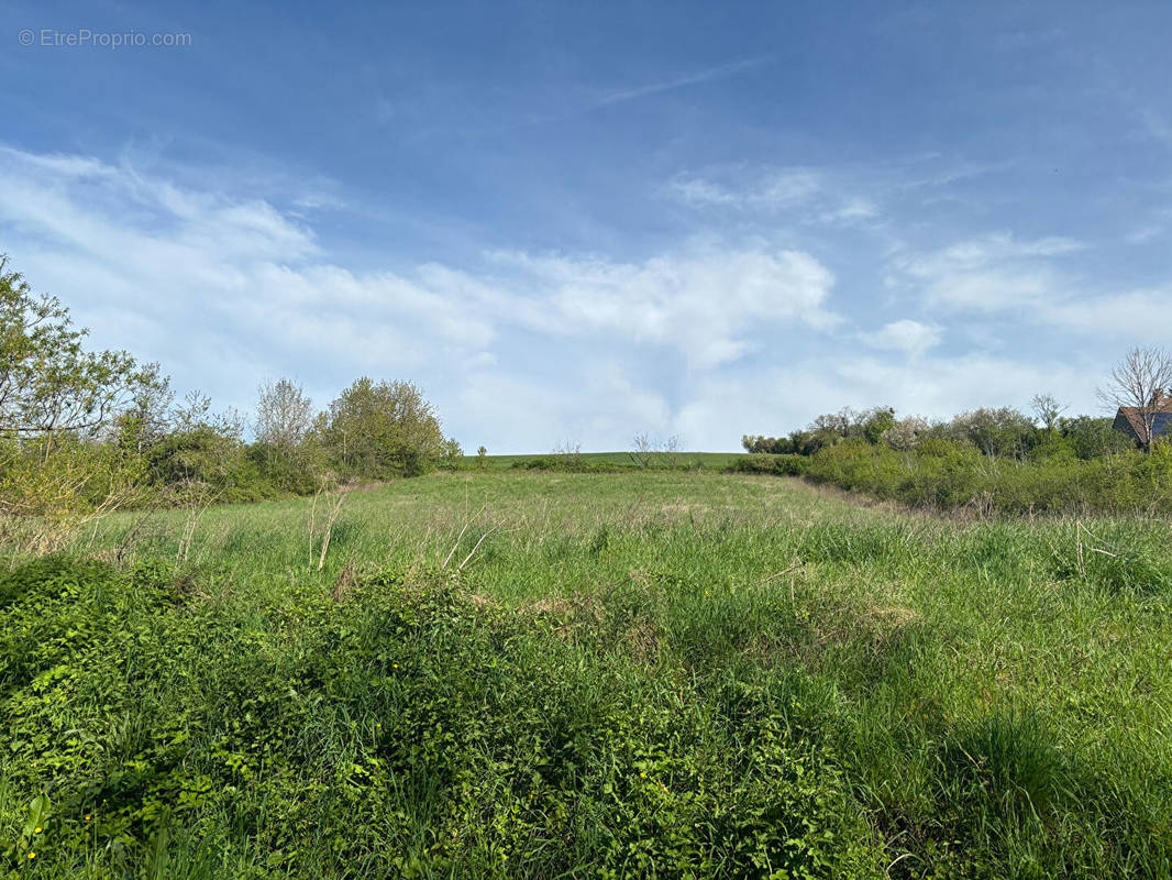 Terrain à SAINT-FLORENTIN