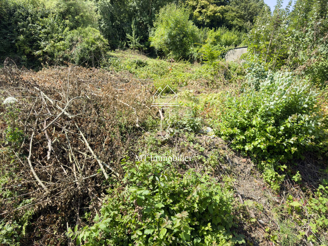 Terrain à BEAURAINVILLE