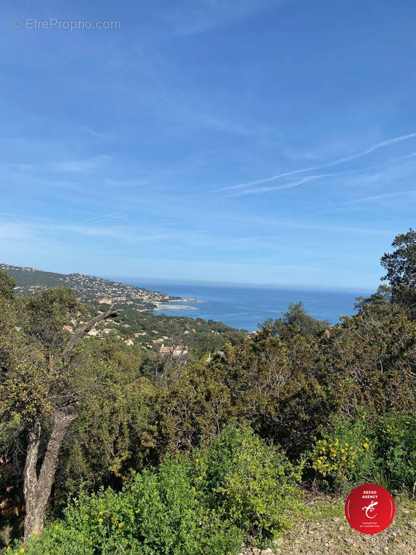 Terrain à SAINTE-MAXIME