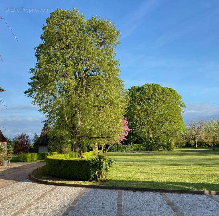 Maison à LAINES-AUX-BOIS