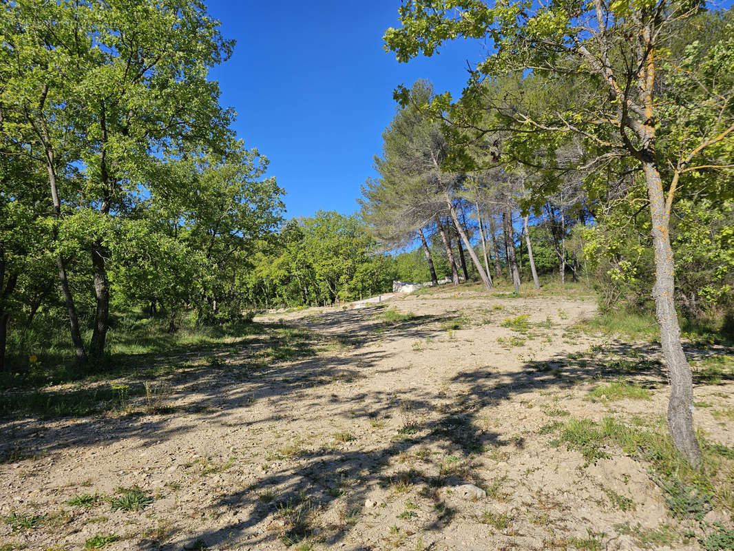 Terrain à LA ROQUE-D&#039;ANTHERON