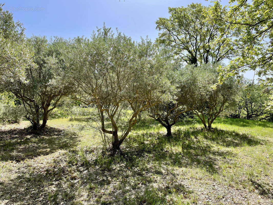 Maison à LOURMARIN