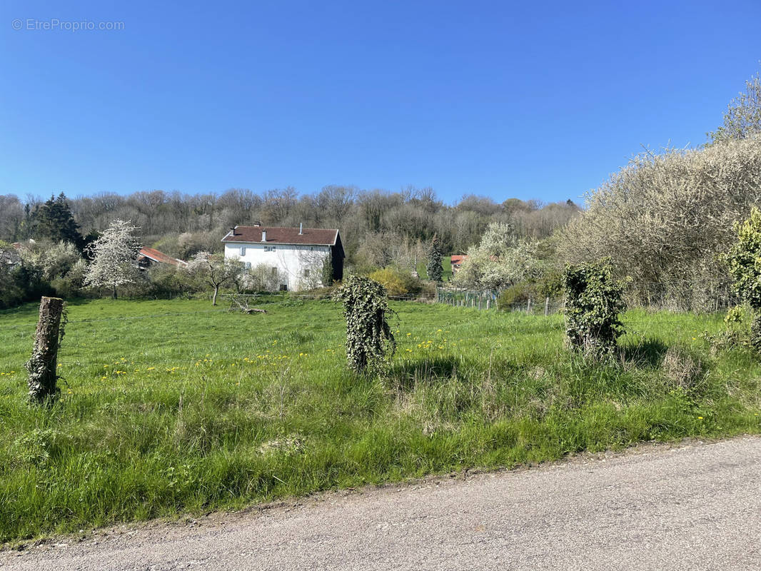 Terrain à COLOMBEY-LES-BELLES