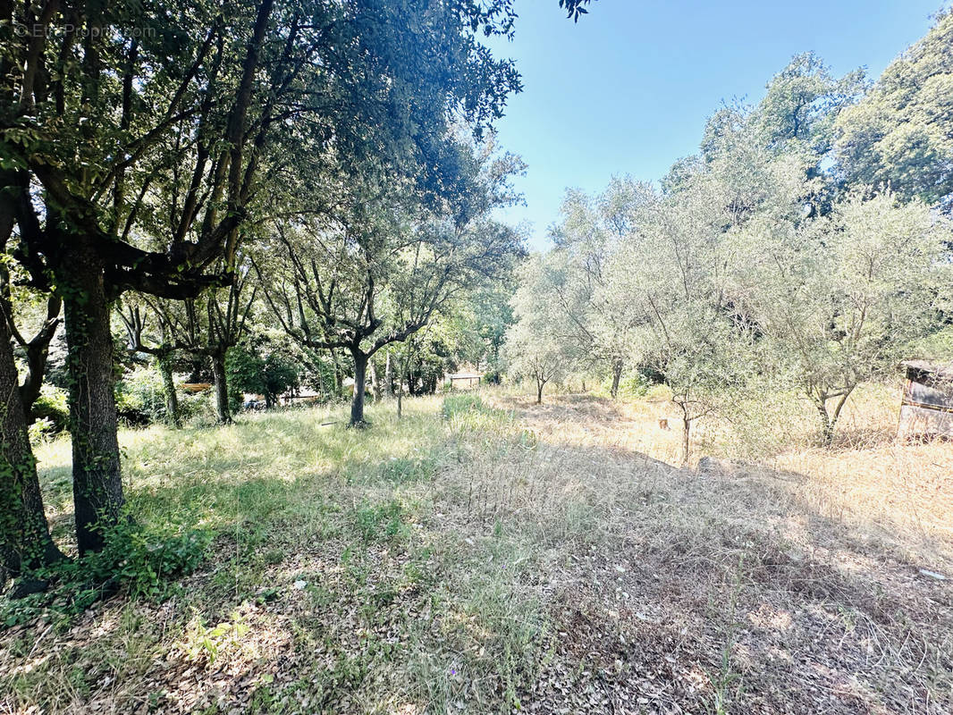 Terrain à GRASSE