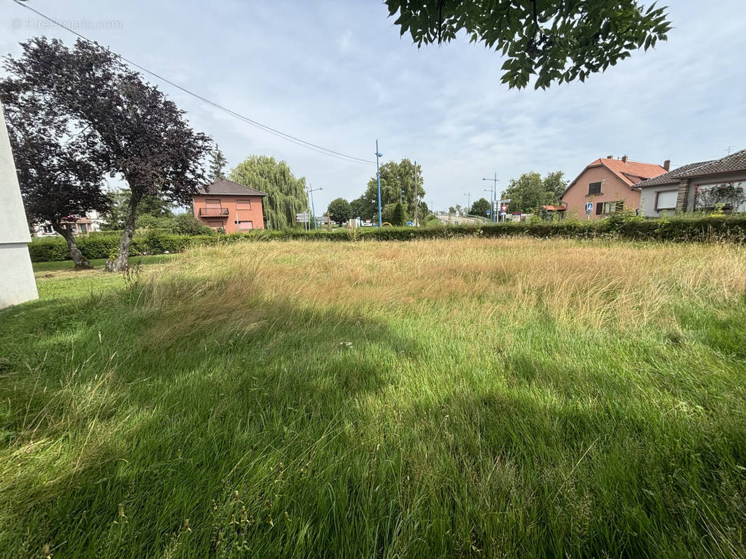 Terrain à STEINBOURG