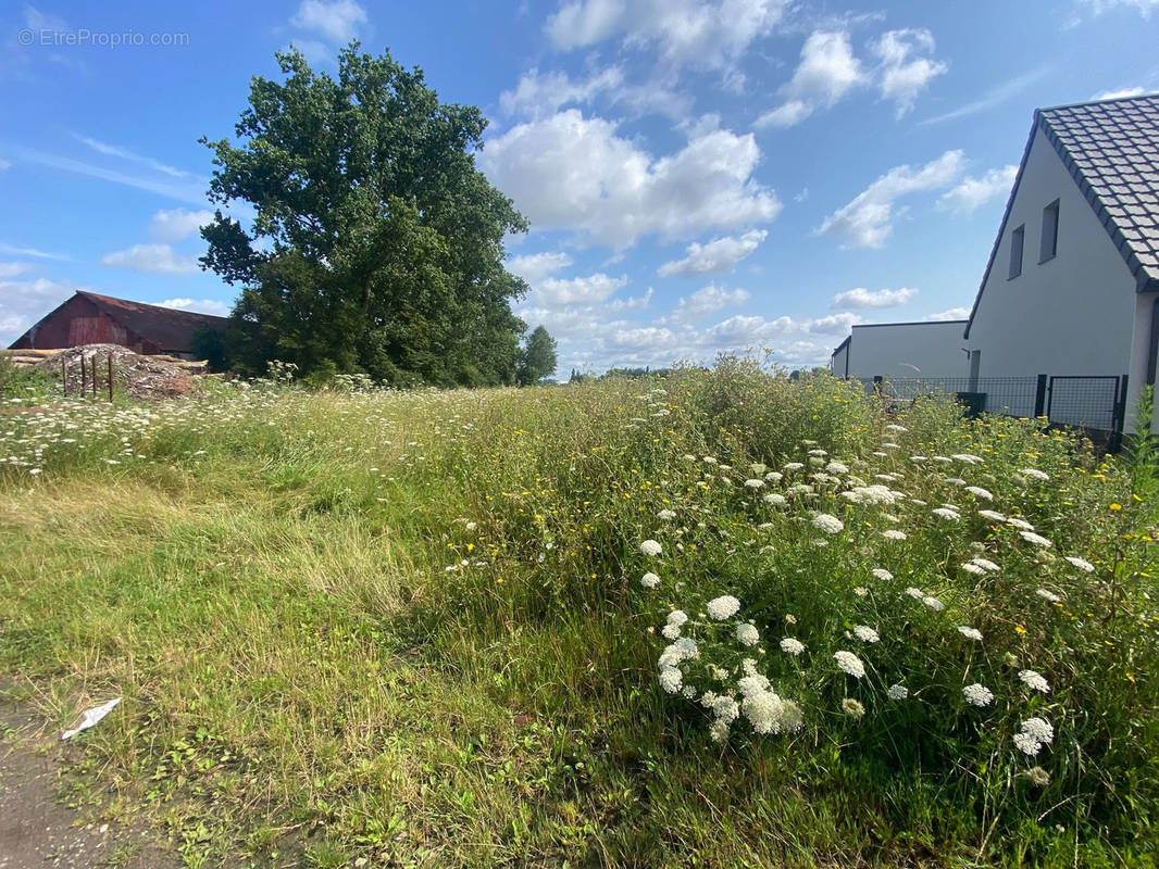 Terrain à CALONNE-SUR-LA-LYS