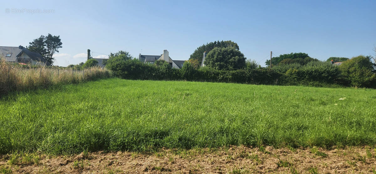 Terrain à CLOHARS-CARNOET