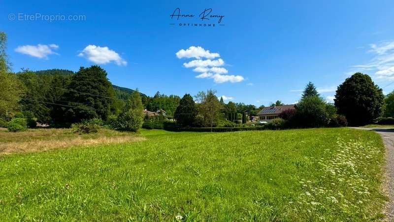 Terrain à LE THILLOT