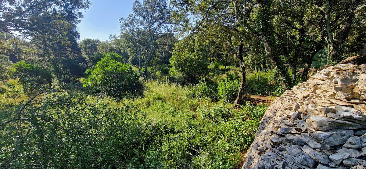 Terrain à SAINT-SIFFRET