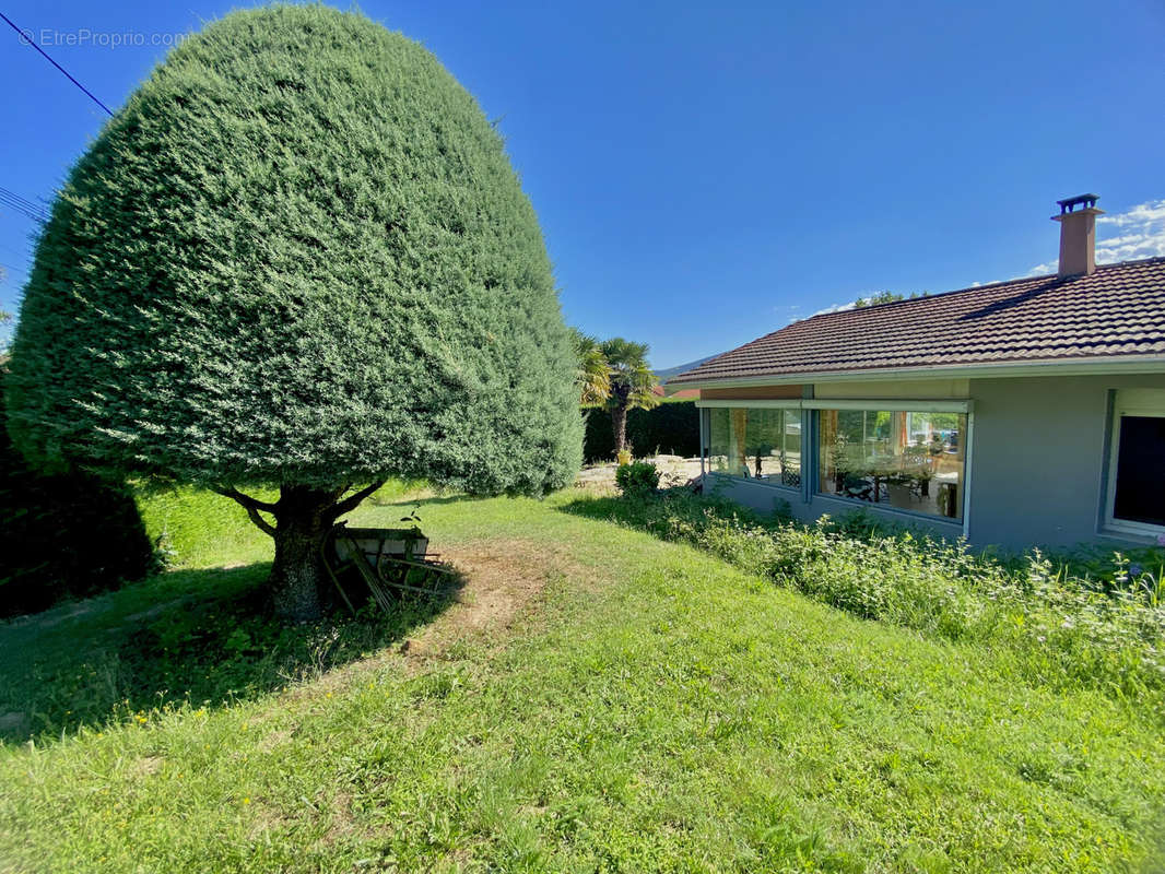 Maison à BOURG-ARGENTAL