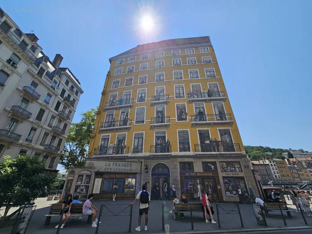 Fresque Lyonnaise - Appartement à LYON-1E