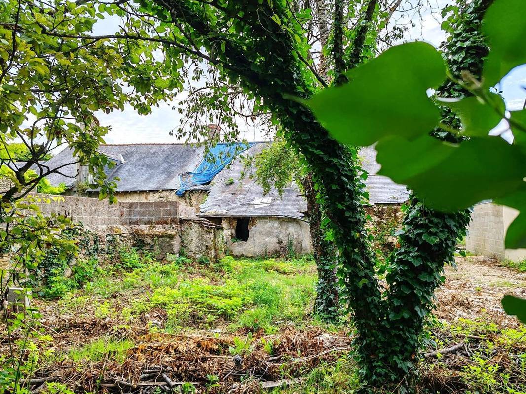 Photo 1 - Maison à BAUGE