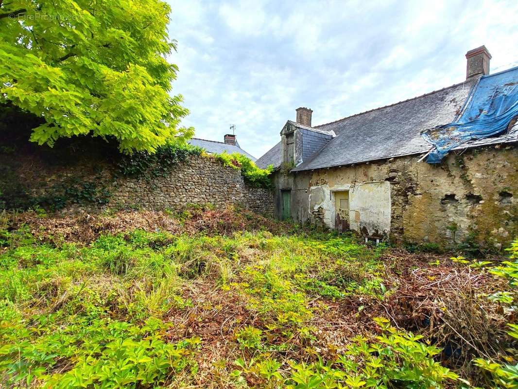 Photo 4 - Maison à BAUGE