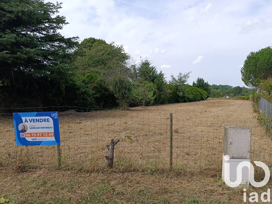 Photo 1 - Terrain à SAINT-AIGNAN