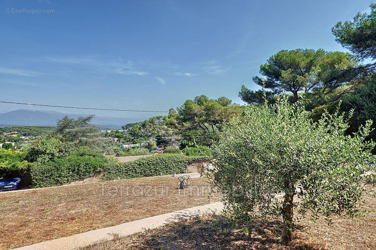 Terrain à VALLAURIS