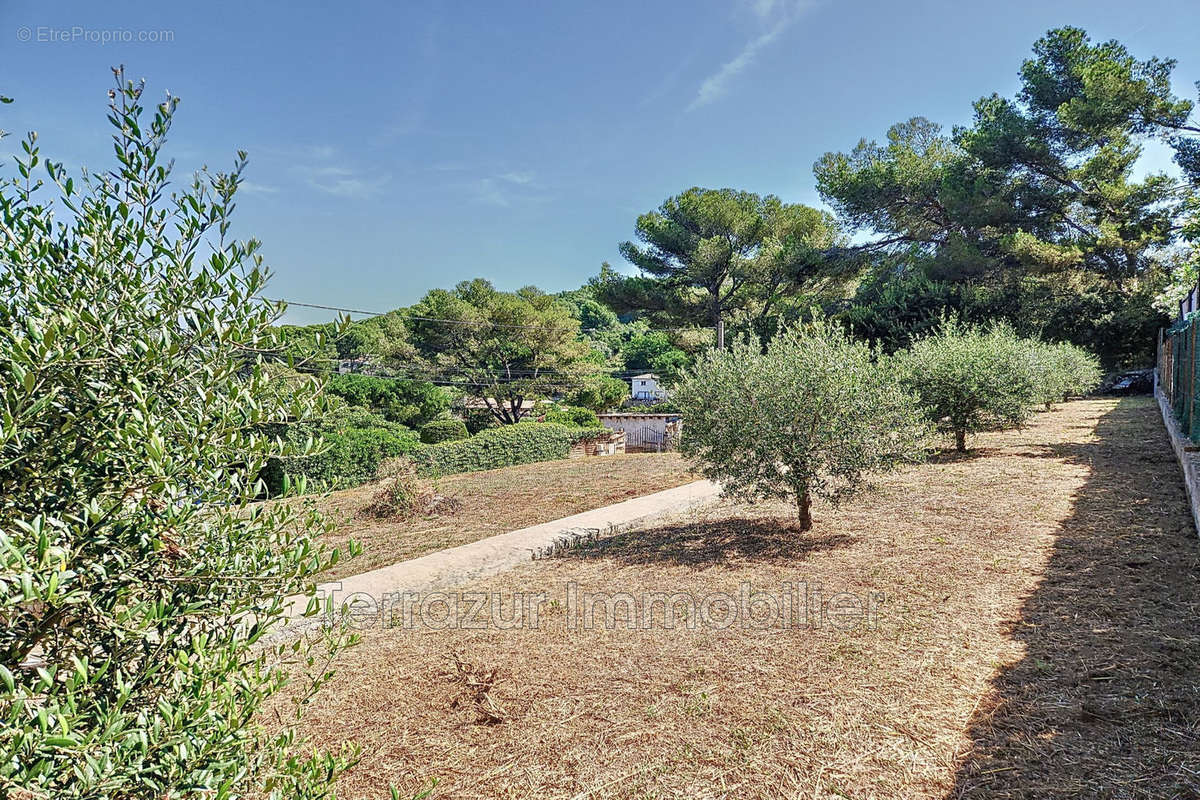 Terrain à VALLAURIS