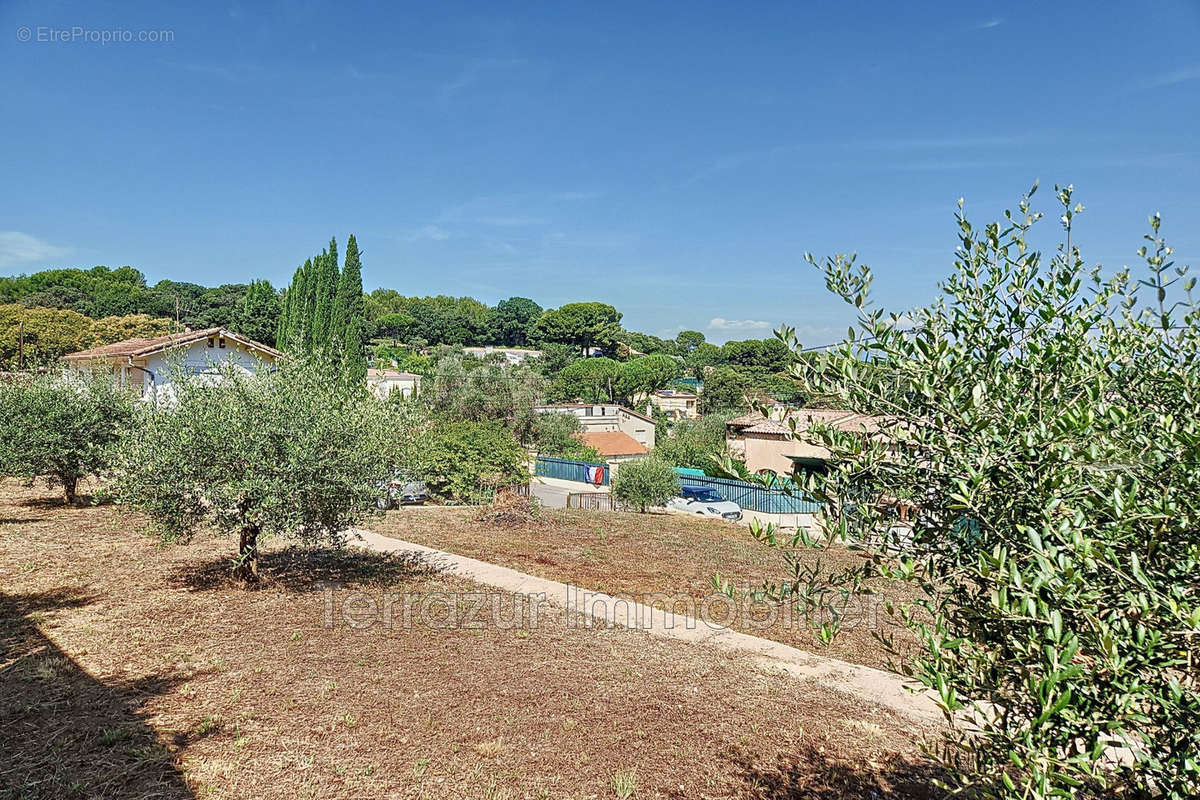 Terrain à VALLAURIS