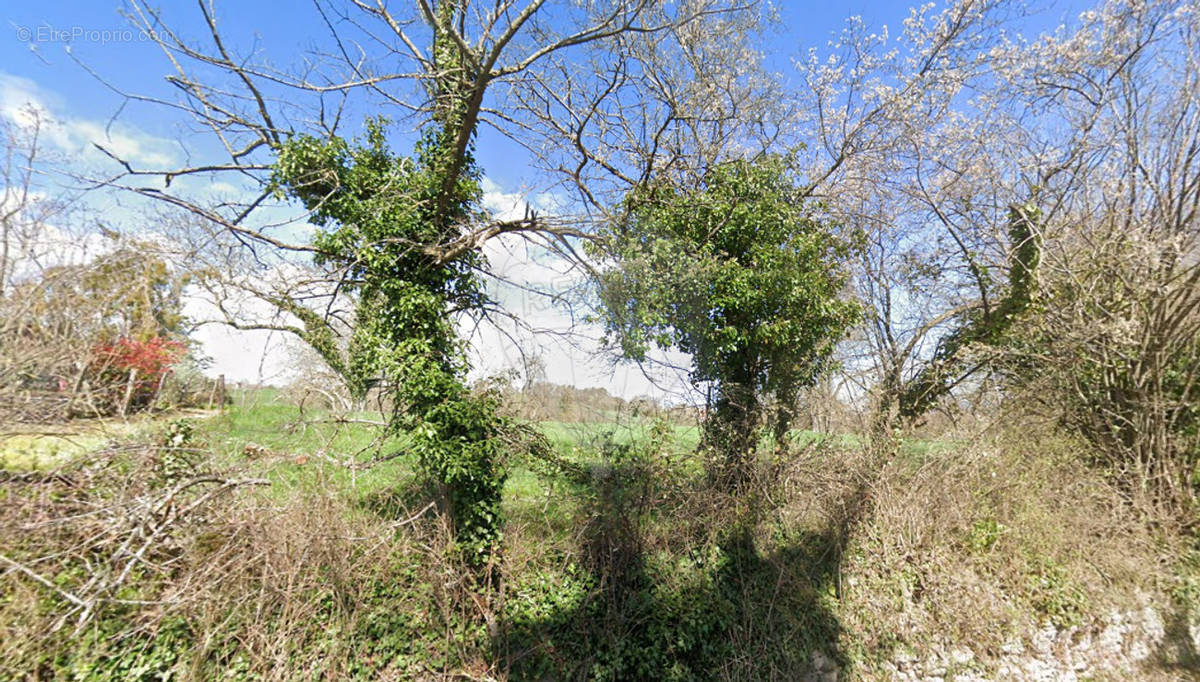 Terrain à BELLENAVES